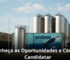 AMBEV VAGAS DE EMPREGO