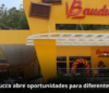 Bauducco oportunidades