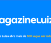 Magazine Luiza vaga