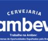 Oportunidades na Ambev